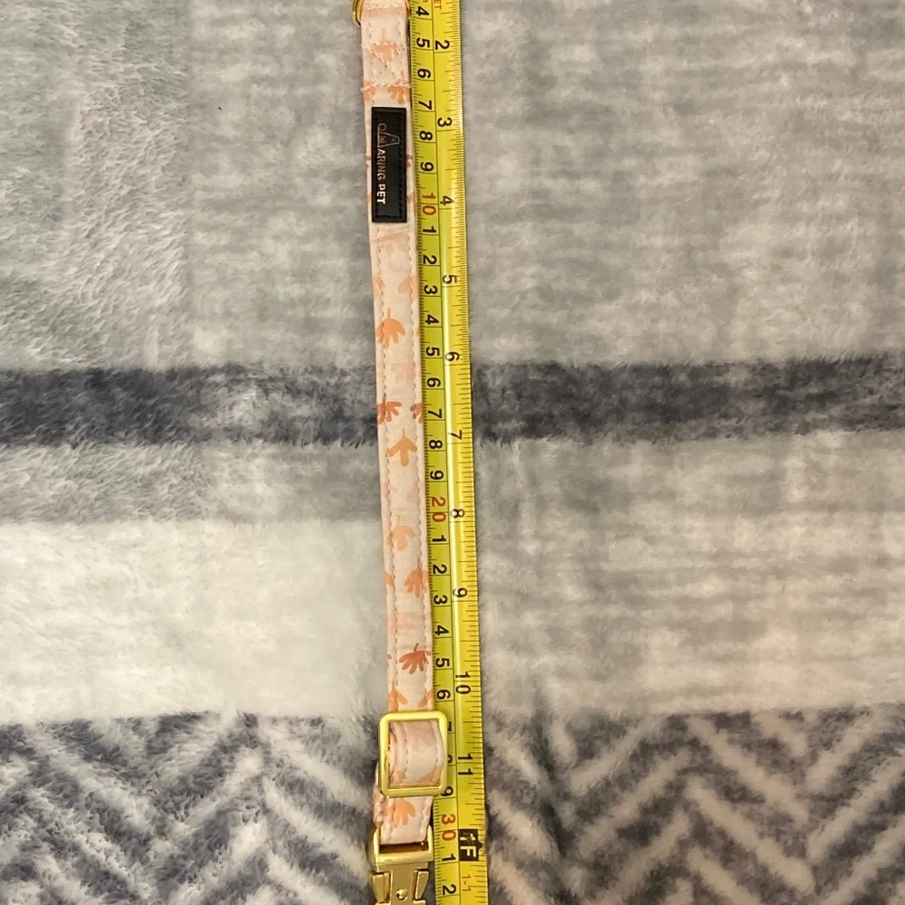 Aring Pet Collar Small Dog